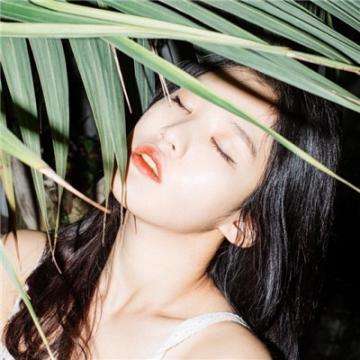 一码一肖100准资料应用手机app下载